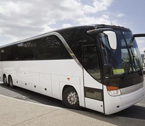 Bus Rundfahrt