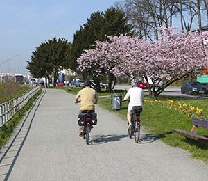 Fahrradtouren Hamburg